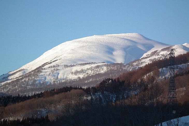 f0118332_2242135.jpg