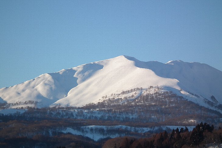 f0118332_22422191.jpg