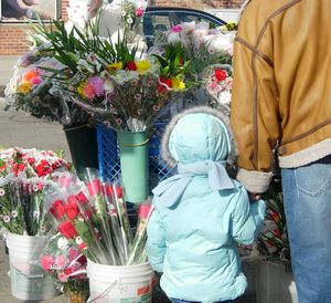f0200433_014976.jpg