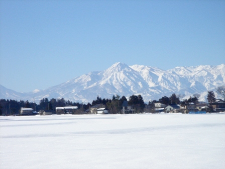 f0131535_1558124.jpg
