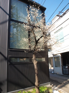 c0174136_14271146.jpg