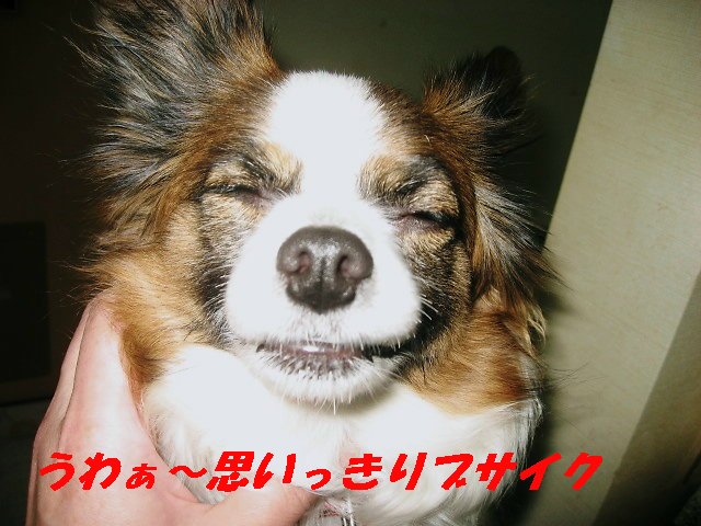 a0149240_1110543.jpg