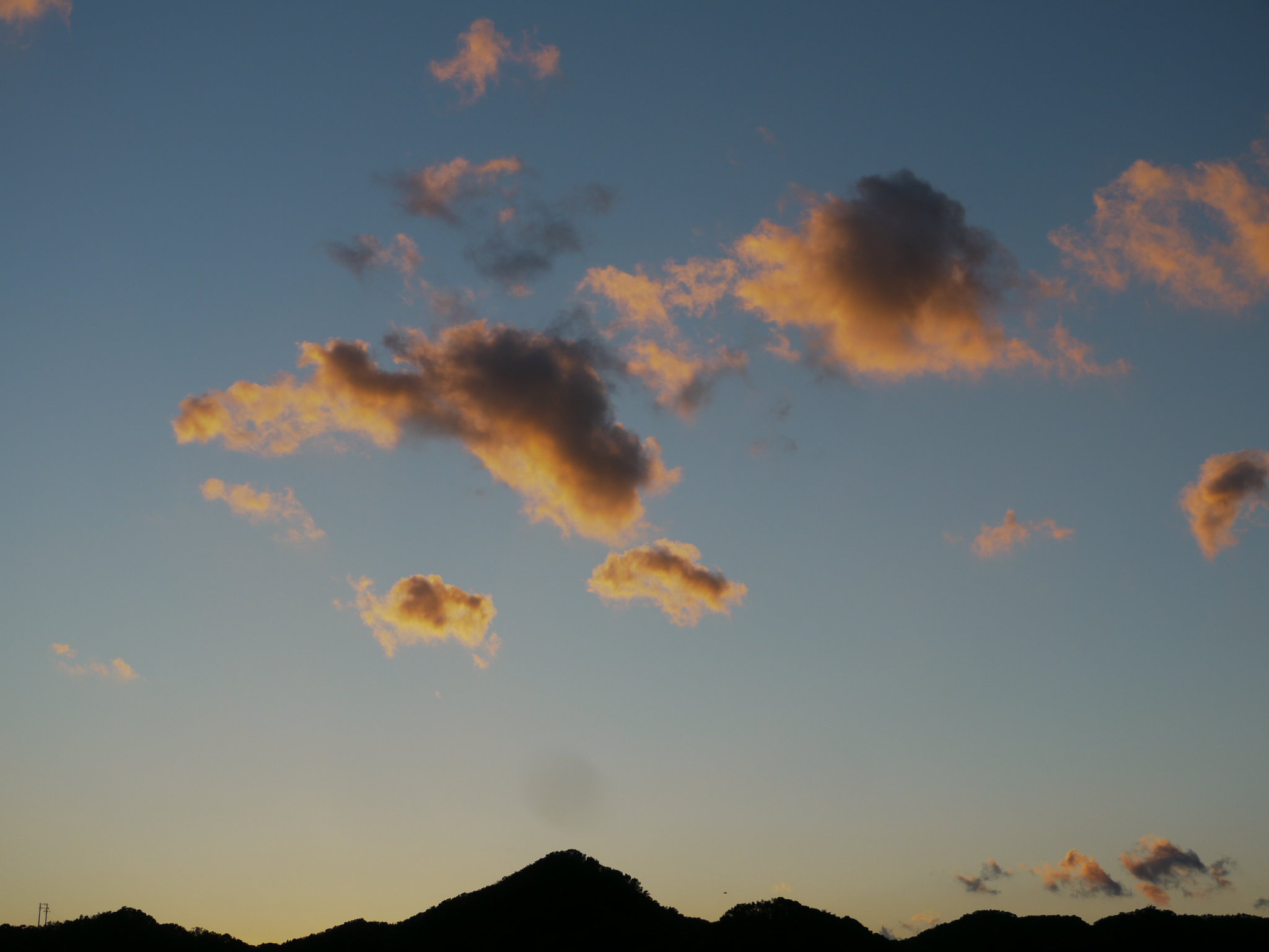 b0190242_024517.jpg
