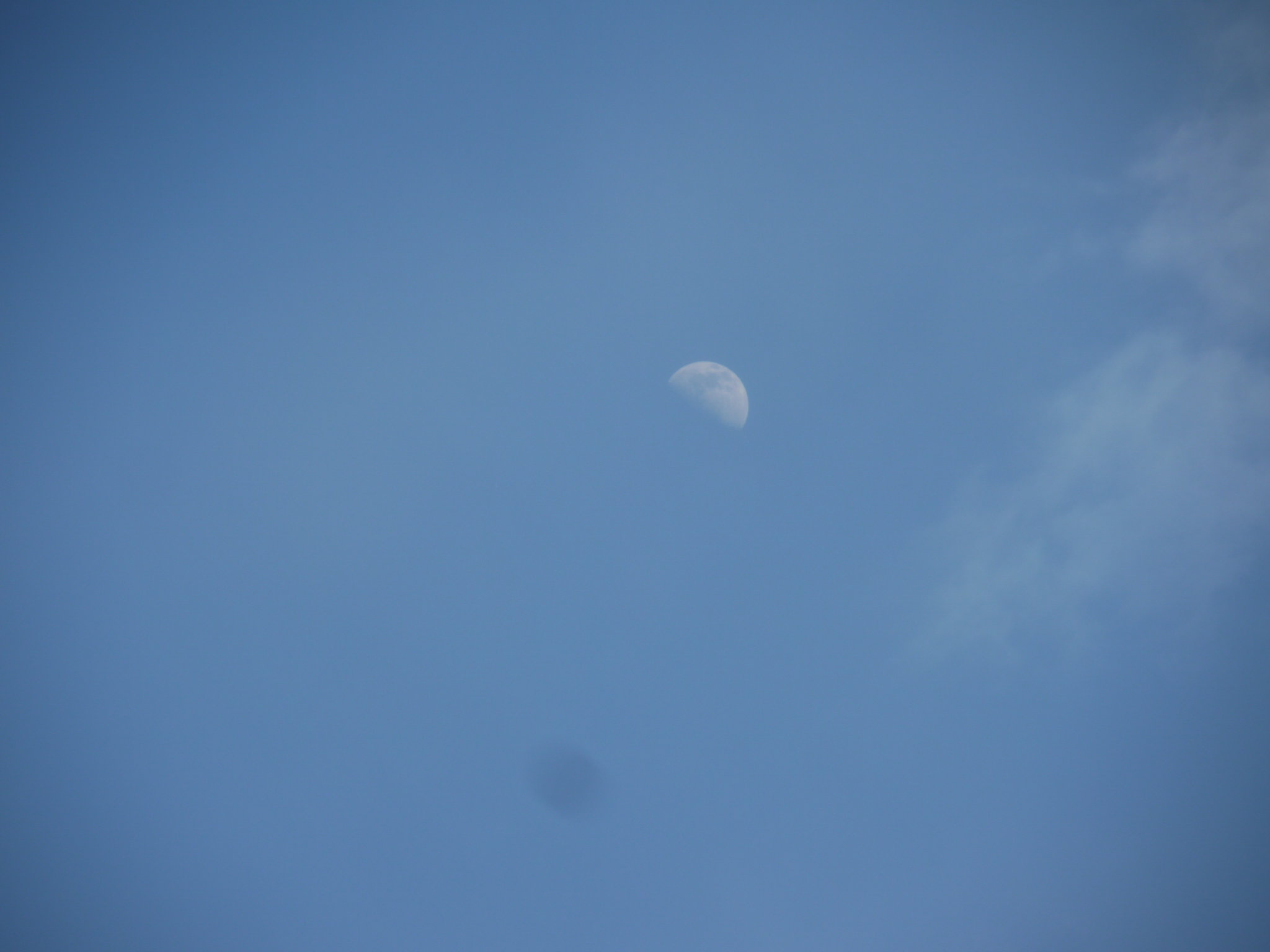b0190242_05116.jpg