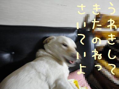 f0195543_22121979.jpg