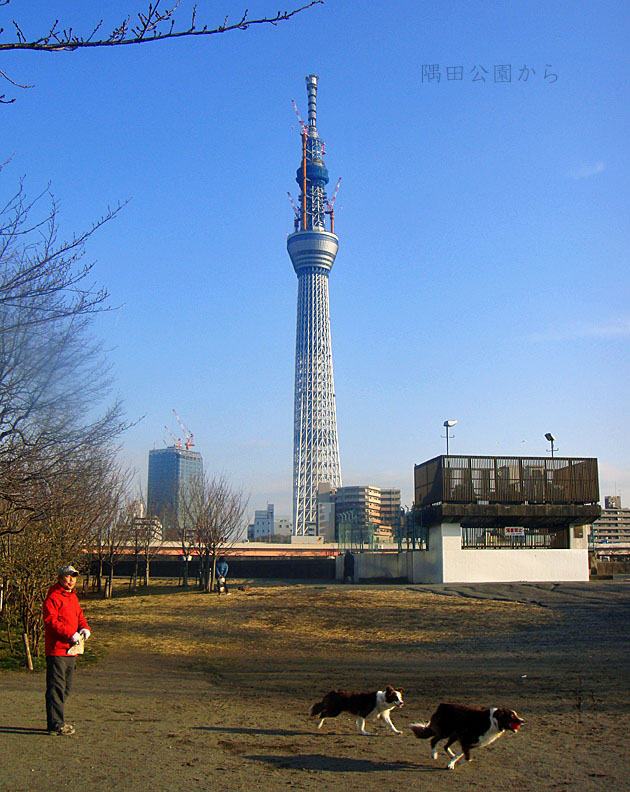 e0185645_23202152.jpg
