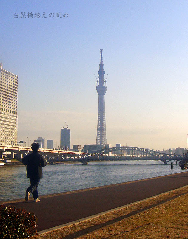 e0185645_2320476.jpg