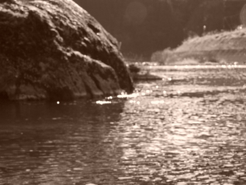 a0124947_21441496.jpg