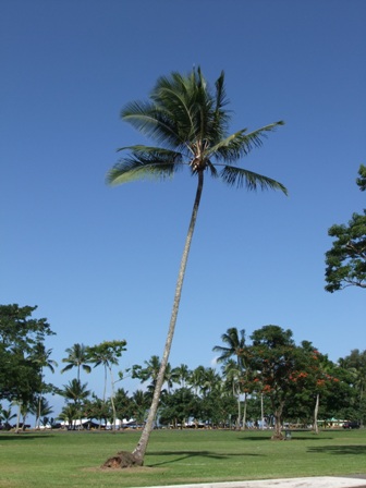 f0071647_19433968.jpg