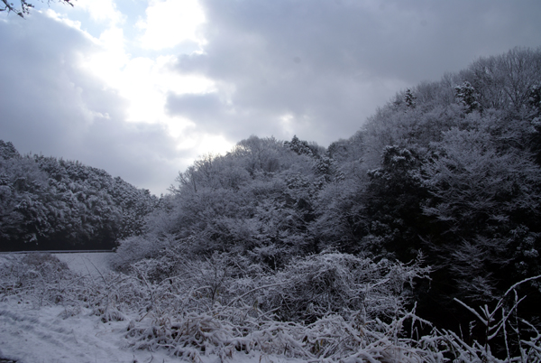 f0214649_6151218.jpg