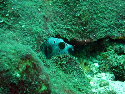 f0176156_1318829.jpg