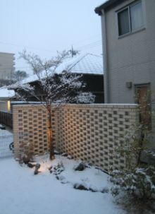 f0140257_23393640.jpg