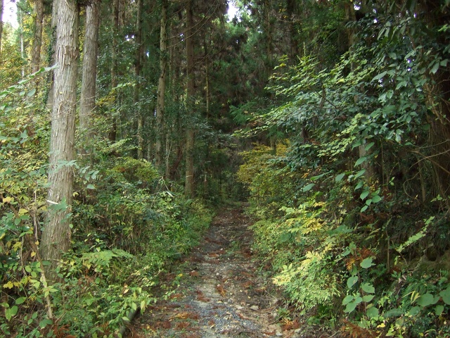 b0095061_005839.jpg