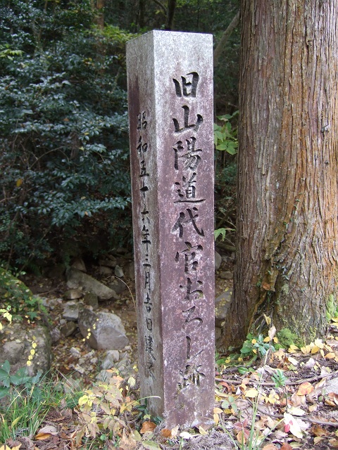 b0095061_2350229.jpg
