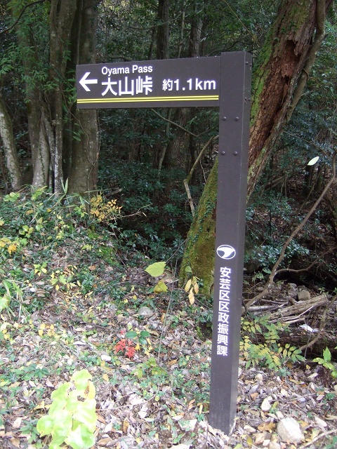 b0095061_2353880.jpg