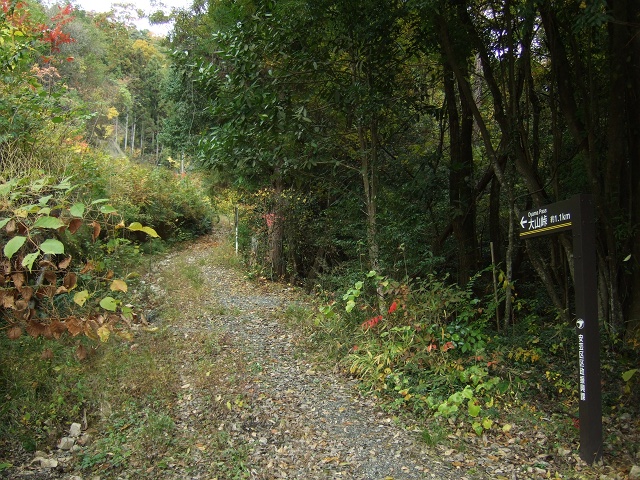 b0095061_23545138.jpg