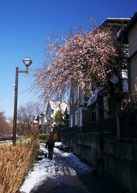b0131167_0363660.jpg