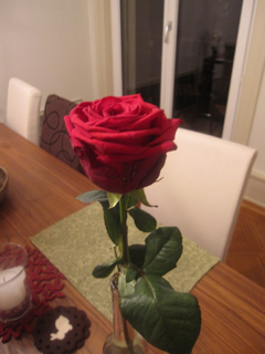 f0225877_6345334.jpg