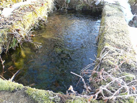 b0042882_23505196.jpg
