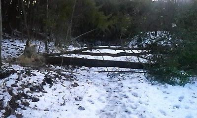 a0130586_19425830.jpg