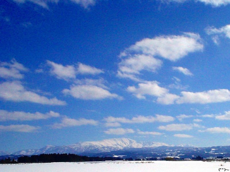 b0207491_1511058.jpg