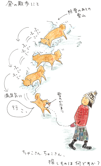 f0236291_921544.gif