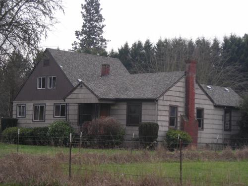 d0000995_173272.jpg