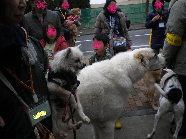 a0053598_095539.jpg