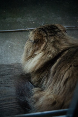 f0239100_1164638.jpg