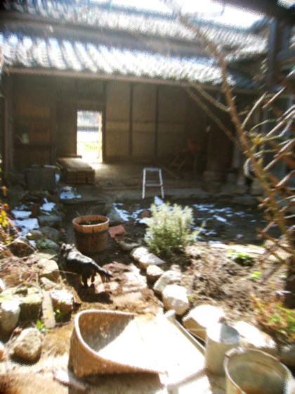d0077603_9161686.jpg