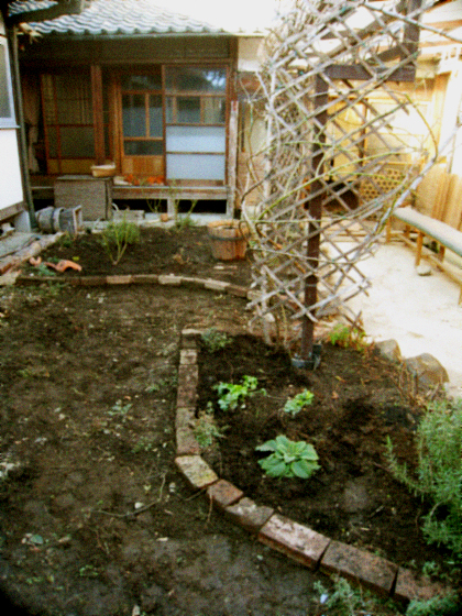 d0077603_9171023.jpg