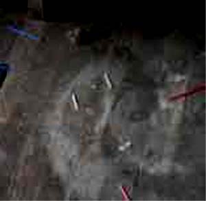 e0103408_1629325.jpg