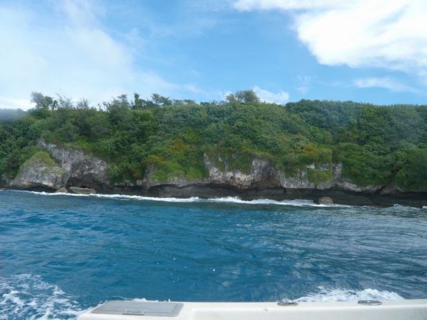 f0221708_1516915.jpg