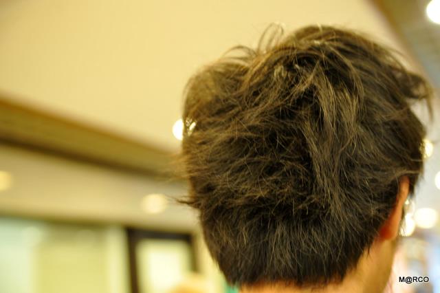 c0037611_0103835.jpg