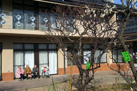e0083517_11320100.jpg