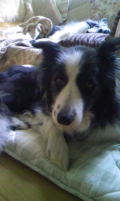 c0150520_23493517.jpg