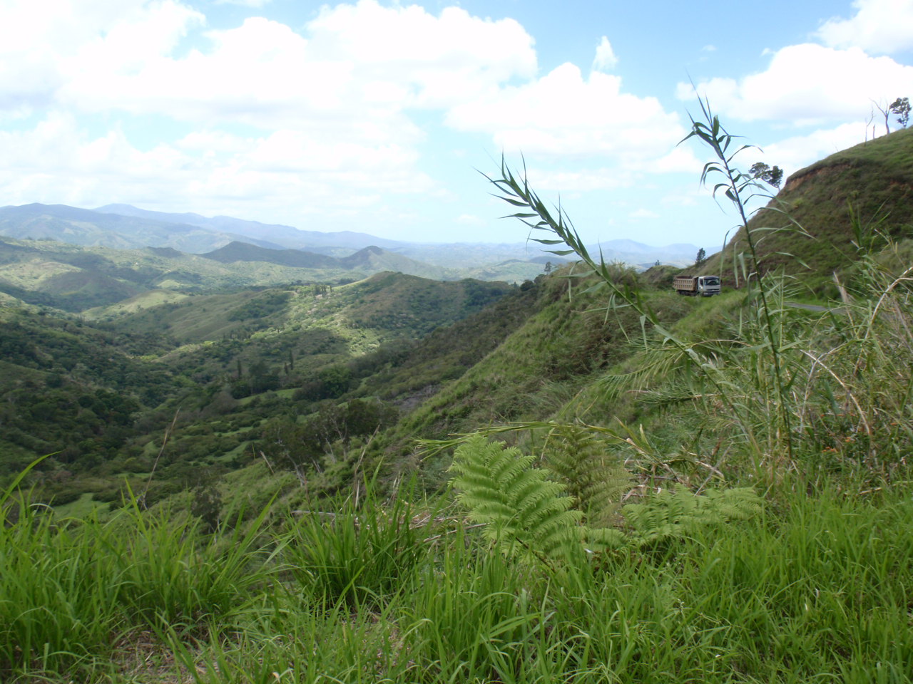 d0187020_13432643.jpg