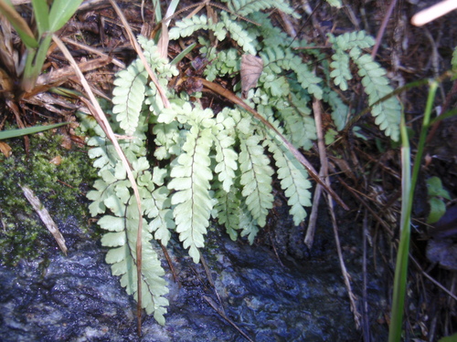 d0187020_13483445.jpg