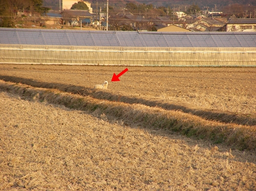 d0165124_1627525.jpg