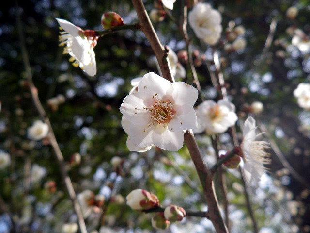 f0000330_18583521.jpg