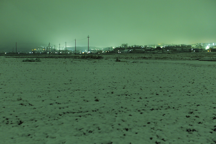 e0089532_1042378.jpg