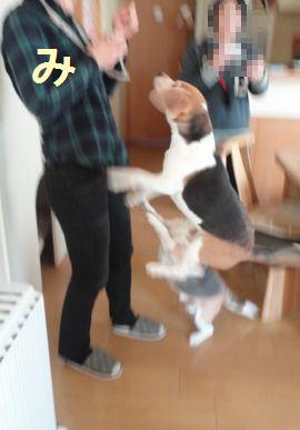 f0195543_22135928.jpg