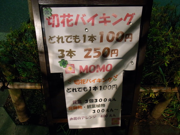 a0175545_20244568.jpg