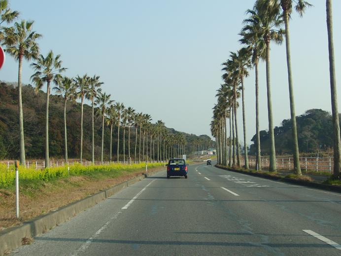 c0156345_1538060.jpg