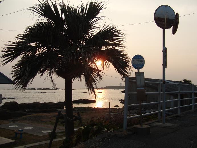 c0156345_1539586.jpg