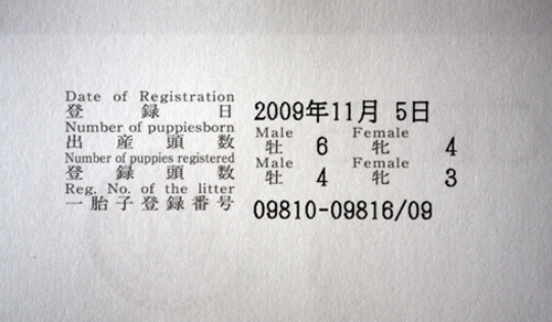 e0192548_9351238.jpg