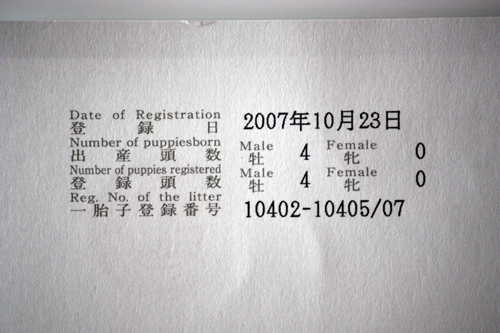 e0192548_9431671.jpg
