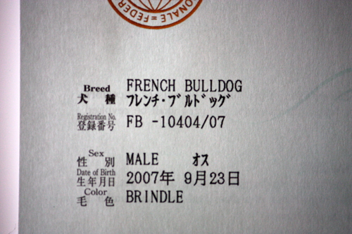 e0192548_945388.jpg
