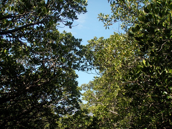 e0134752_21375276.jpg