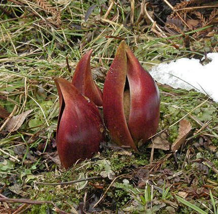 a0001354_22195471.jpg